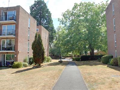 Picture 19